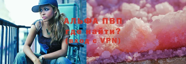 стаф Липки