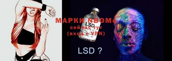 стаф Липки