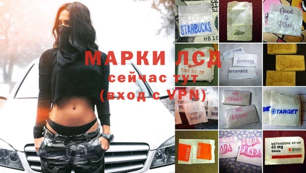 стаф Липки