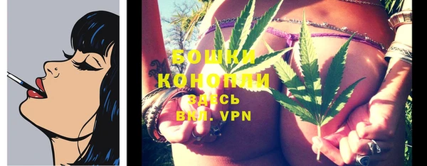 стаф Липки