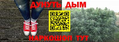 гидра Дубна