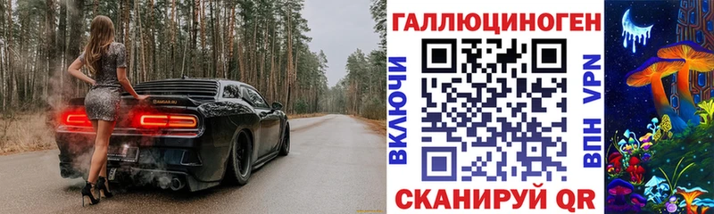 Галлюциногенные грибы GOLDEN TEACHER  цены наркотик  Михайловка 