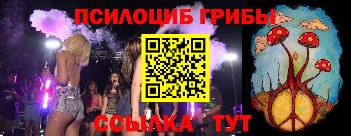 Псилоцибиновые грибы Psilocybe  Вход с VPN  Михайловка 