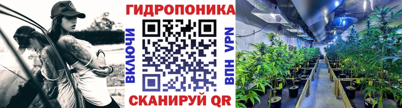 Бошки марихуана SATIVA & INDICA  купить наркотик  Михайловка 